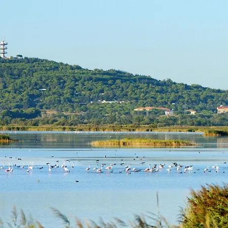 Cap Caddy By Interhome * アグド